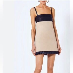 Alexis Beige and Black Mini Dress